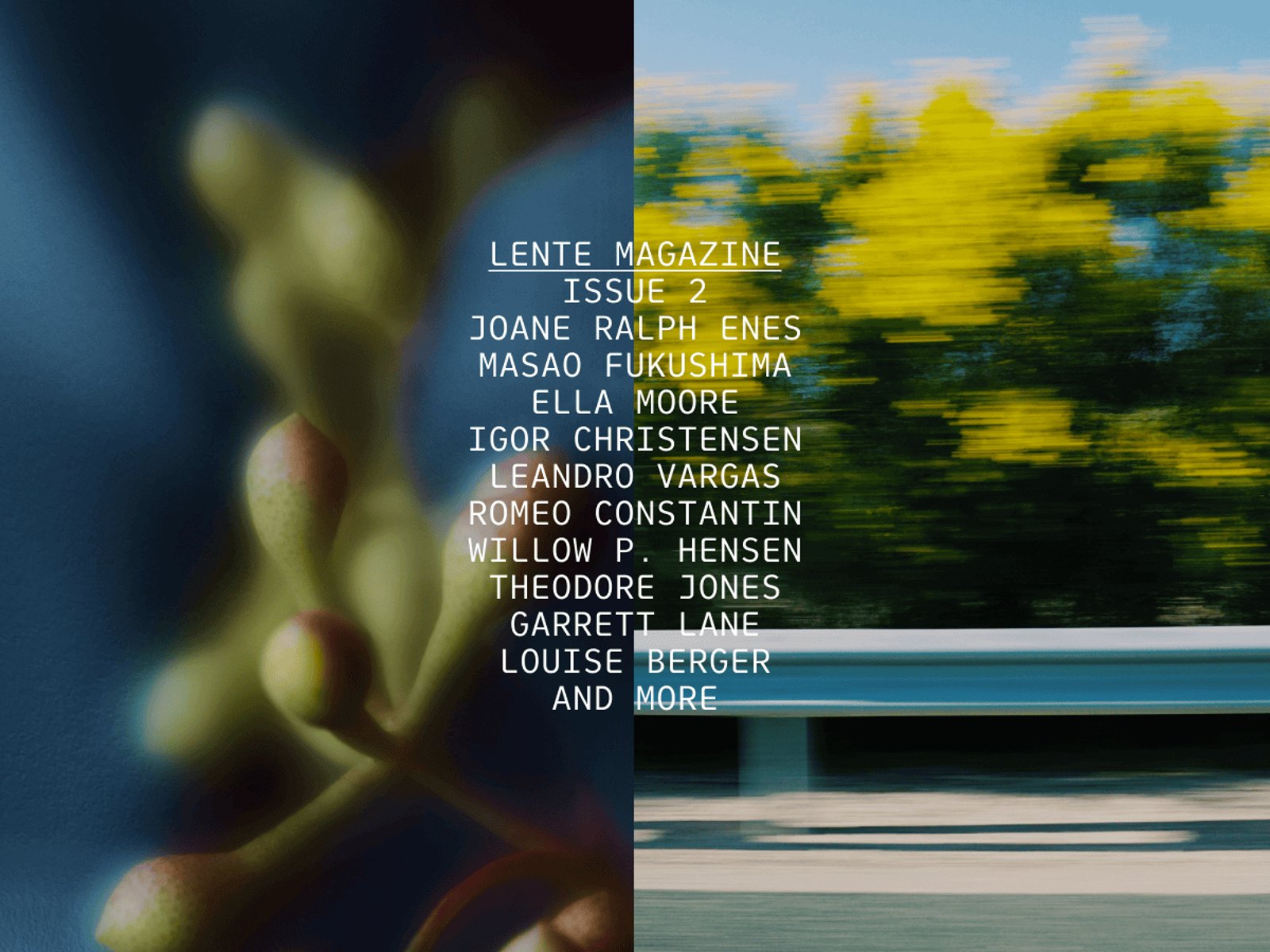 Lente preview