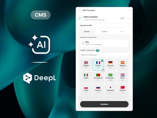 CMS Translator — plugin · framer